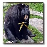 Black Bear North Carolina Bear - 10x10 Wall Clock