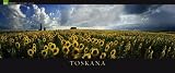 Toskana 2010: Ein Panorama der Sch�nheit. GEO Saison Kalender