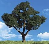 Classic Trees, Cool Shade 5-6