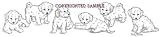 Bichon Frise - Puppies in a Row by Cindy Farmer