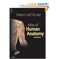 Atlas of Human Anatomy: With Netteranatomy.com (Netter Basic Science)
