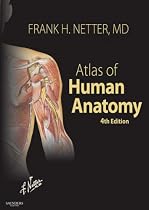 Atlas of Human Anatomy: With Netteranatomy.com (Netter Basic Science)