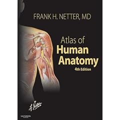 Atlas of Human Anatomy: With Netteranatomy.com (Netter Basic Science)