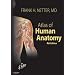 Atlas of Human Anatomy: With Netteranatomy.com (Netter Basic Science)
