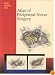 Atlas of Peripheral Nerve Surgery