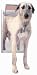 Petsafe Classic Pet Door - X-Large Satin