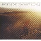 Stay What You Are by Saves the Day
