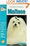 Guide to Owning a Maltese (Re Dog)