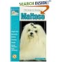 Guide to Owning a Maltese (Re Dog)