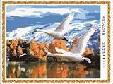 Paint By Number Kit 20''x16''-Swan