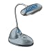 Detriot Lions LED Desk Lamp