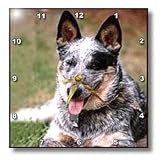 Dogs Australian Cattle - Australian Cattle Dog - Wall Clocks