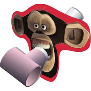 Madagascar Blowouts 8ct