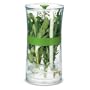 Cuisipro Herb Keeper