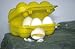 Coghlan's 812A Hiker Egg Carrier