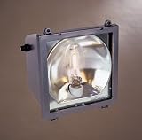 Metal Halide Distressed Bronze Area Security Light