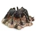 Tarantula