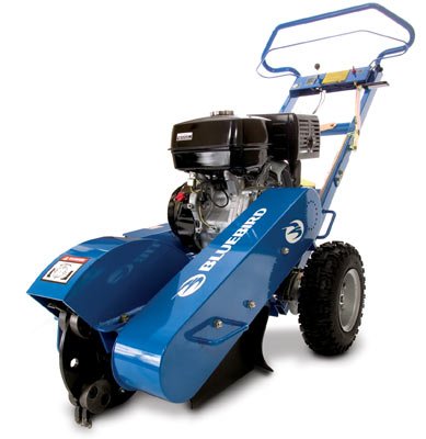 Amazon Image