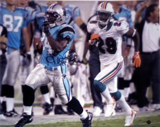 Deangelo Williams Autographed/Hand Signed Carolina Panthers 16x20 Photo