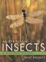 Australian Insects: A Natural History