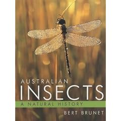 Australian Insects: A Natural History