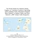 The World Market for Medical, Dental, Surgical, or Veterinary Furniture, Operating and Examining Tables, Mechanical Hospital Beds, Dentists' or ... Thereof: A 2007 Global Trade Perspective