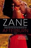 Afterburn: A Novel