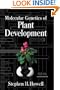 Molecular Genetics of Plant Development