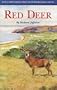 Red Deer