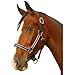 Intrepid International Breakaway Leather Crown Padded Halter, Navy/Silver, Full
