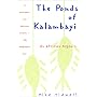 The Ponds of Kalambayi