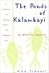 The Ponds of Kalambayi