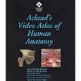 Acland's Video Atlas Of Human Anatomy: The Upper Extremity, The Lower Extremity, The Trunk, The... by  Robert D., M.D. Acland