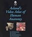 Search : Acland's Video Atlas Of Human Anatomy: The Upper Extremity, The Lower Extremity, The Trunk, The Head And Neck, Part 1, The Head And Neck, Part 2, And The Internal Organs