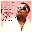 Feed Your Soul: Incognito & Rice Artists Remixes