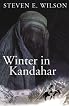 Winter in Kandahar by Steven E. Wilson