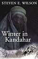 Winter in Kandahar by Steven E. Wilson