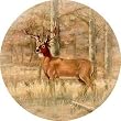 Whitetail Deer Sandstone Thirstystone Coasters