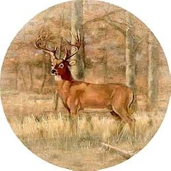 Whitetail Deer Sandstone Thirstystone Coasters