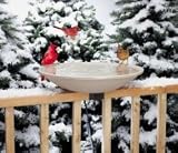 API 650 Heated Bird Bath with Mounting Bracket