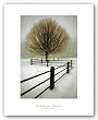 Solitude by David Lorenz Winston 15"x10.25" Art Print Poster