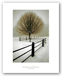 Solitude by David Lorenz Winston 15"x10.25" Art Print Poster