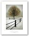 Solitude by David Lorenz Winston 15"x10.25" Art Print Poster