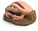Zodiac Astrology Themed Unique Novelty Decorative Eyeglasses Holder - Cancer The Crab