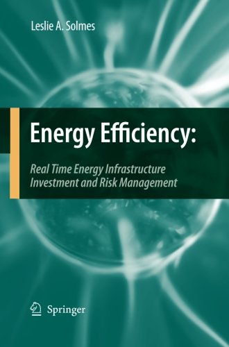 Energy Efficiency: Real Time Energy Infrastructure Investment and Risk Management