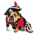  Pirate