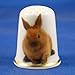 Porcelain China Thimble -- New Zealand Rabbit