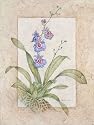 Orchid Fresco III Art Poster Print by Debra Swartzendruber, 12x16