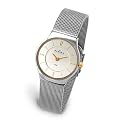 Skagen 233XSGSC Ladies Watch with Stainless Steel Strap