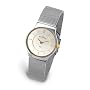 Skagen Denmark Womens Watch Steel Two-Tone on Mesh #233XSGSC